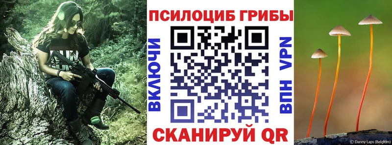 Псилоцибиновые грибы Psilocybe  Гай 