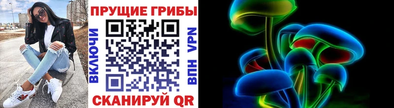 Псилоцибиновые грибы мицелий Гай